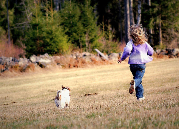 GPS para perros sin cuota mensual