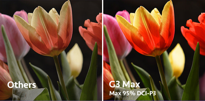 GOOVIS G3 MAX | 3D Head Mounted Cinematic Display | 5K OLED HMD | 2560*1440 High Resolution 24