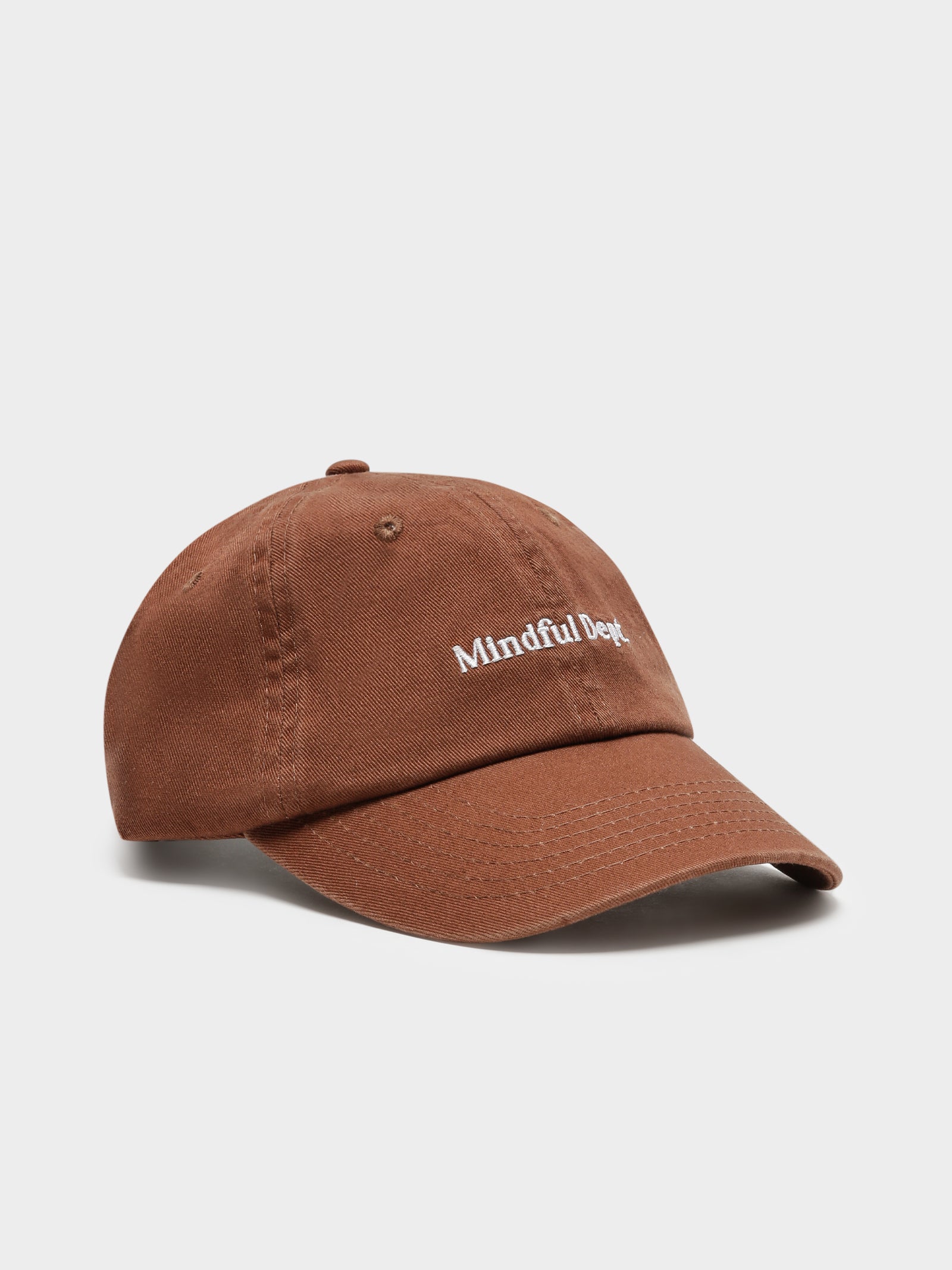 Be Kind Dad Hat in Mocha