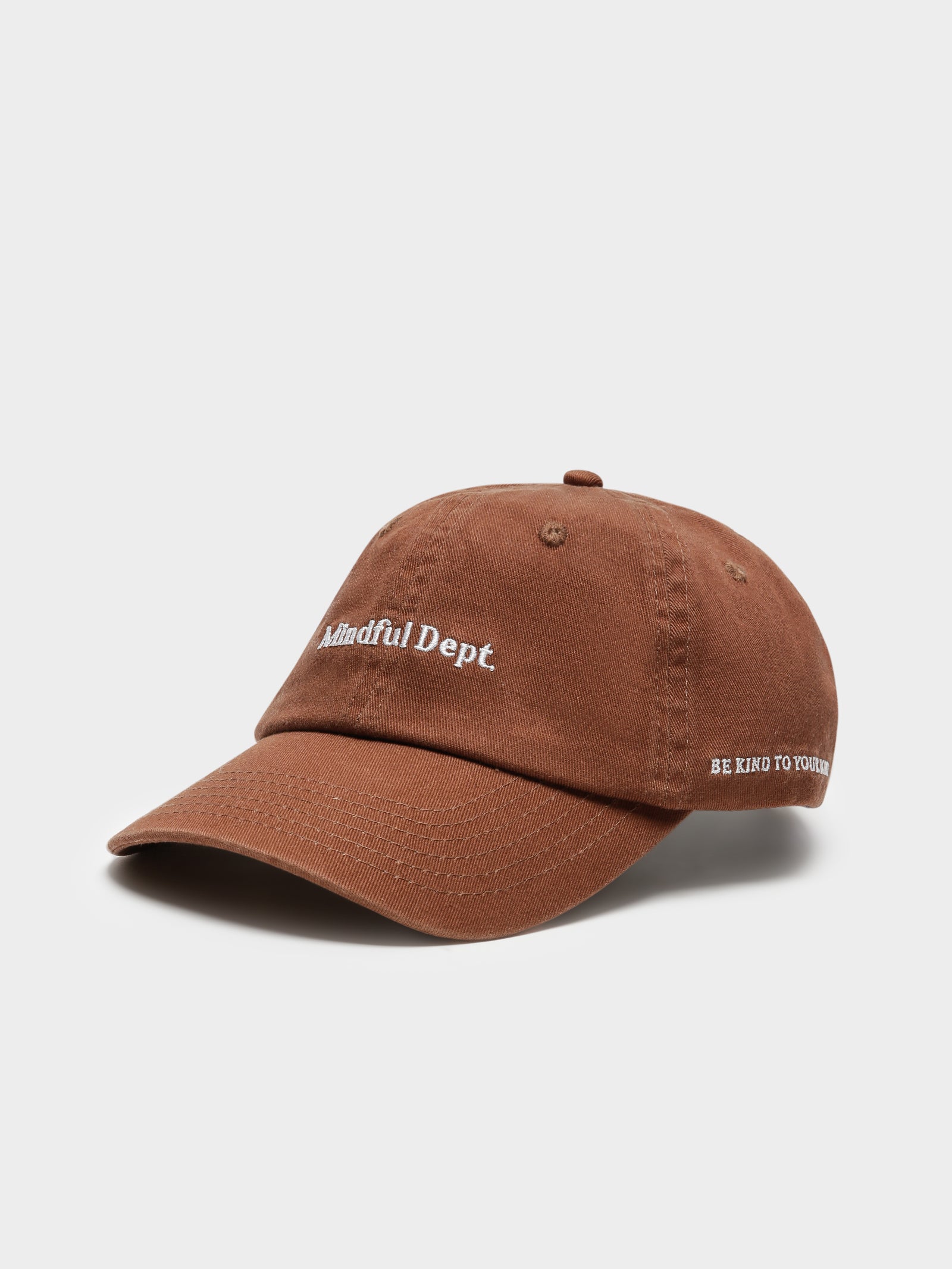 Be Kind Dad Hat in Mocha