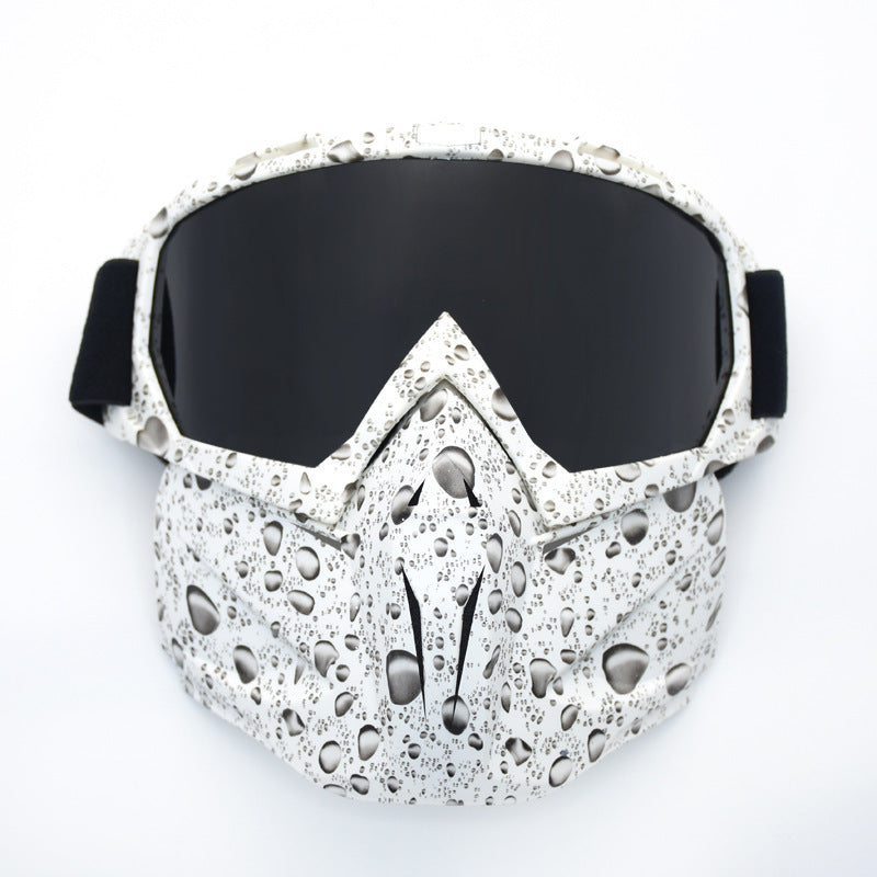 Motorcycle Sunglasses Ski Snowboard Eyewear Mask Goggles Glasses