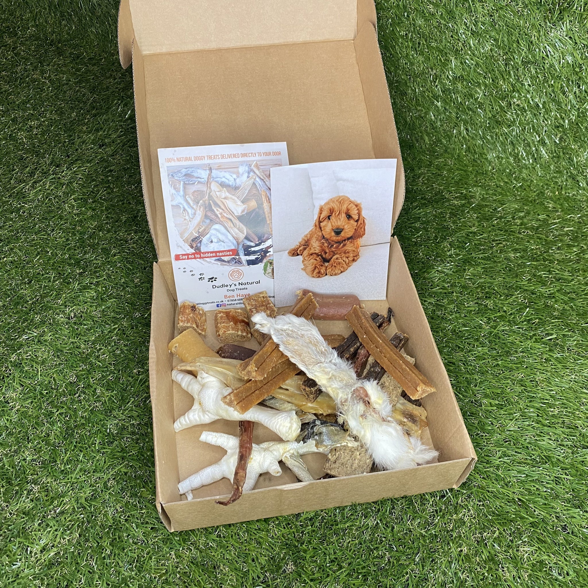 dudley's natural dog treats