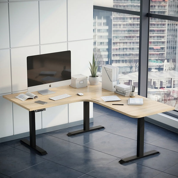 Desky sit and stand desk