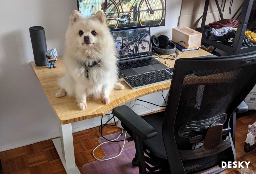 home office ergonomic standing desk