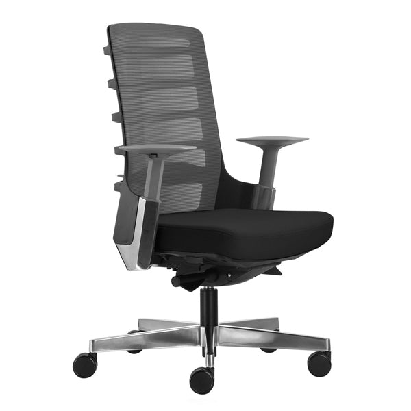 professional ergonomic chair