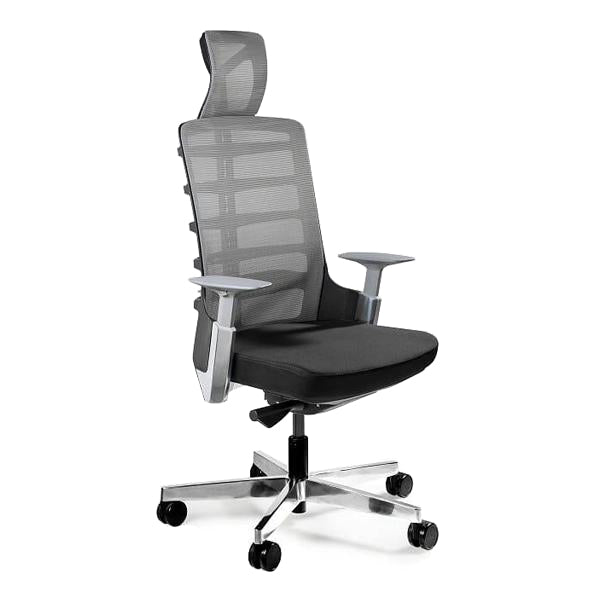 professional ergonomic chair