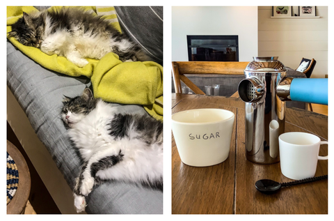 A set of two images, the first two fluffy adult cats sleeping on a couch. The second a small cup for espresso, and a bowl of sugar. 