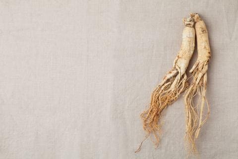 siberian ginseng