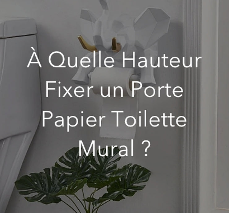 A-quelle-hauteur-fixer-porte-papier-toilette-mural-blog-lepetitcoindesign.com