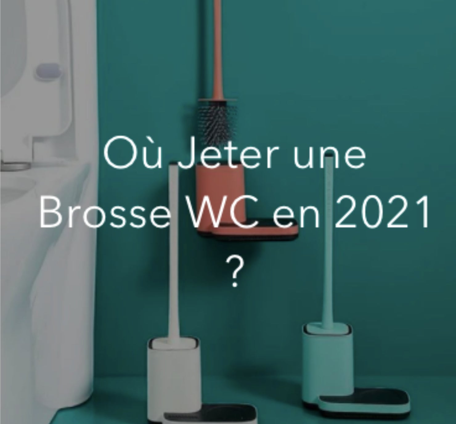 Quel produit faut-il utiliser pour nettoyer la brosse des toilettes ? :  Femme Actuelle Le MAG