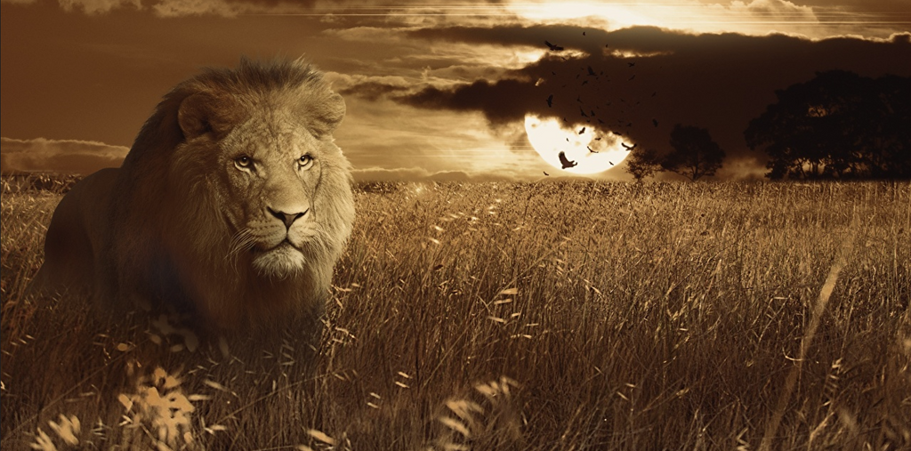 La signification symbolique des Lions