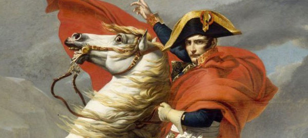 biografia di napoleone bonaparte chi è?