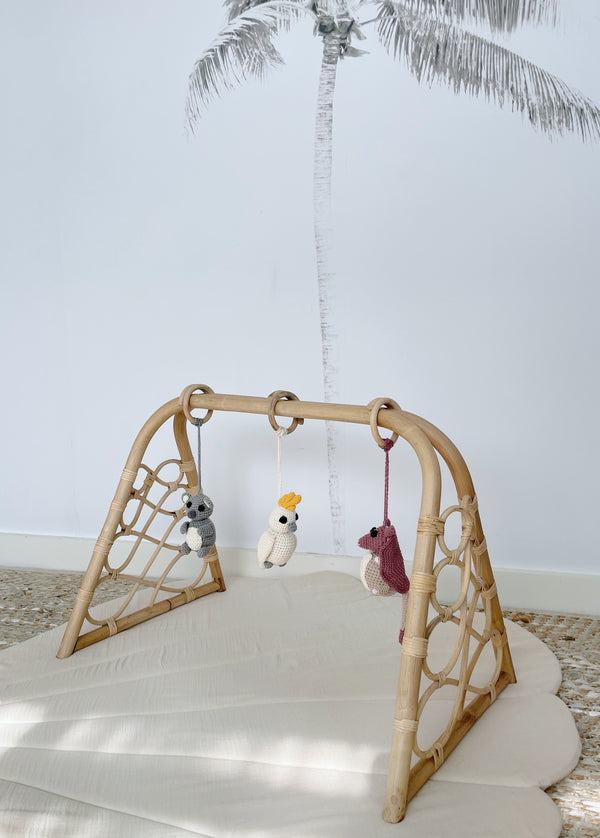 Cushii x Rattan Play Gym Bundle, Limited Edition