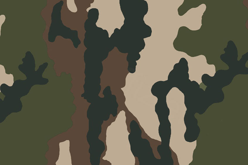 Le Camouflage Centre Europe (CCE)