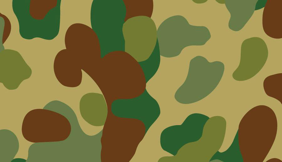 Disruptive Pattern Camouflage Uniform (DPCU)