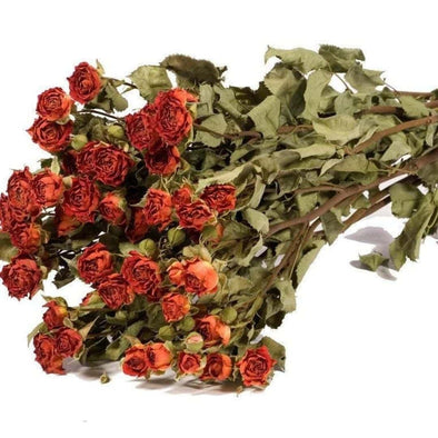 Real Dried Flowers, Red, Packaging Size: 1 Kg at Rs 1000/kg in