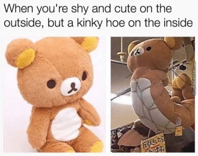 Adult Memes that Make Your Day —— Don't judge a book by its cover. So do a cute bear.