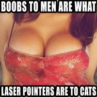 24 Funny Boob Memes That Makes You Laugh. Cat: That's right *2.