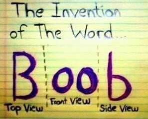 24 Funny Boob Memes That Makes You Laugh. This is the most vivid description of what our breasts look like ...