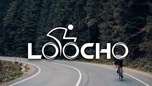 loocho 21 speed foldable mountain bike