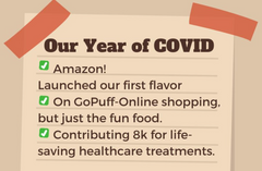 One Year of COVID