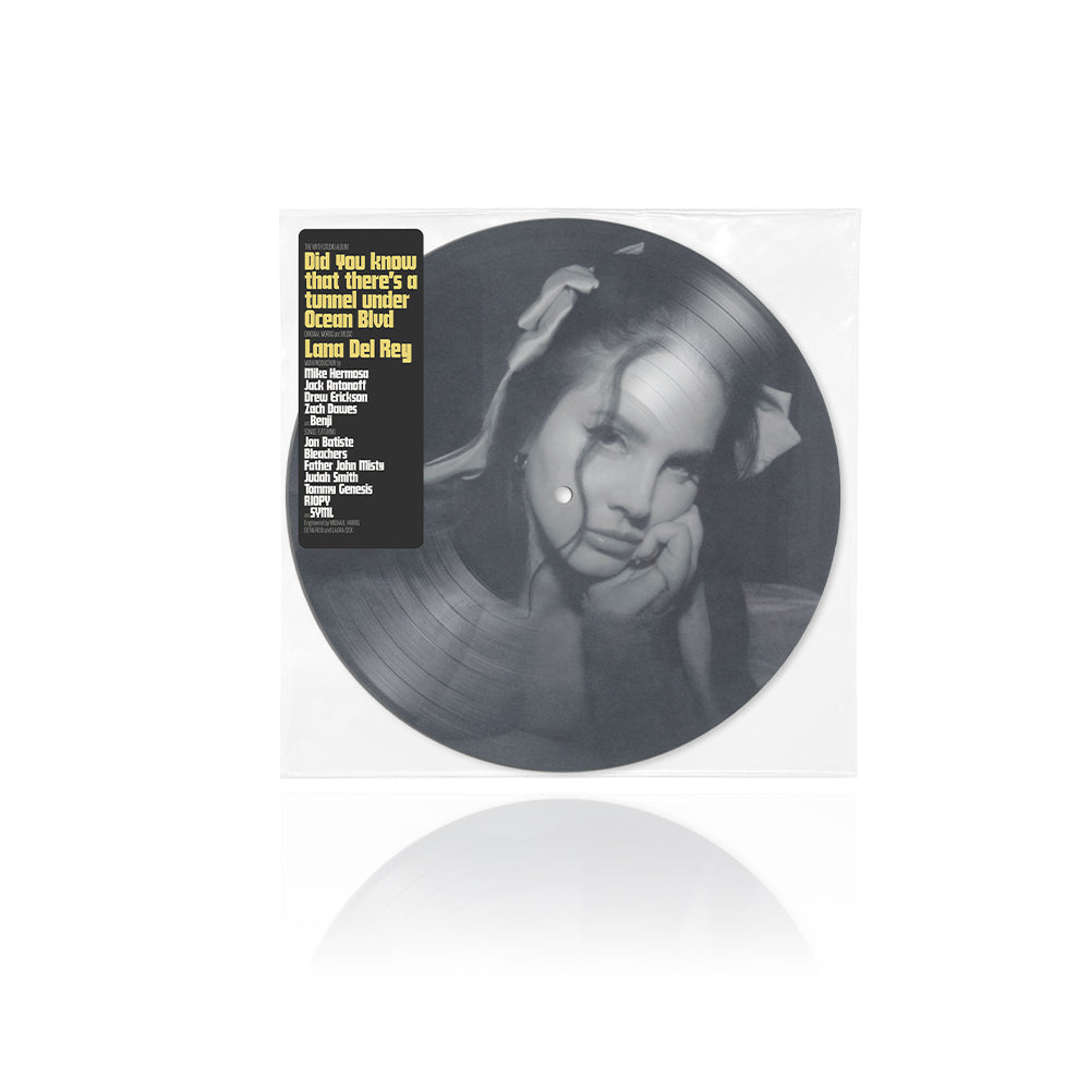 2LP Picture disc Did you know that there's a tunnel under Ocean Blvd di Lana  Del Rey – Universal Music Italia