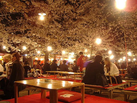 Sakura Season in Japan: A Guide to Cherry Blossom Viewing