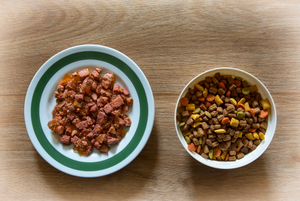 bowl of canned food sitting next to bowl of kibble