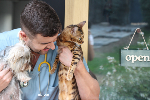 A vet carrying a cat and dog