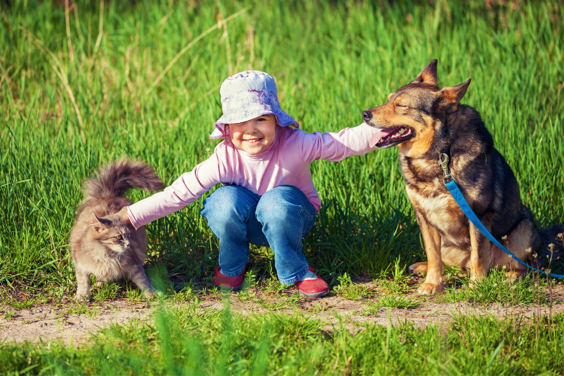 young kid wearing a hat squatting in the grass holding onto a dog and a cat