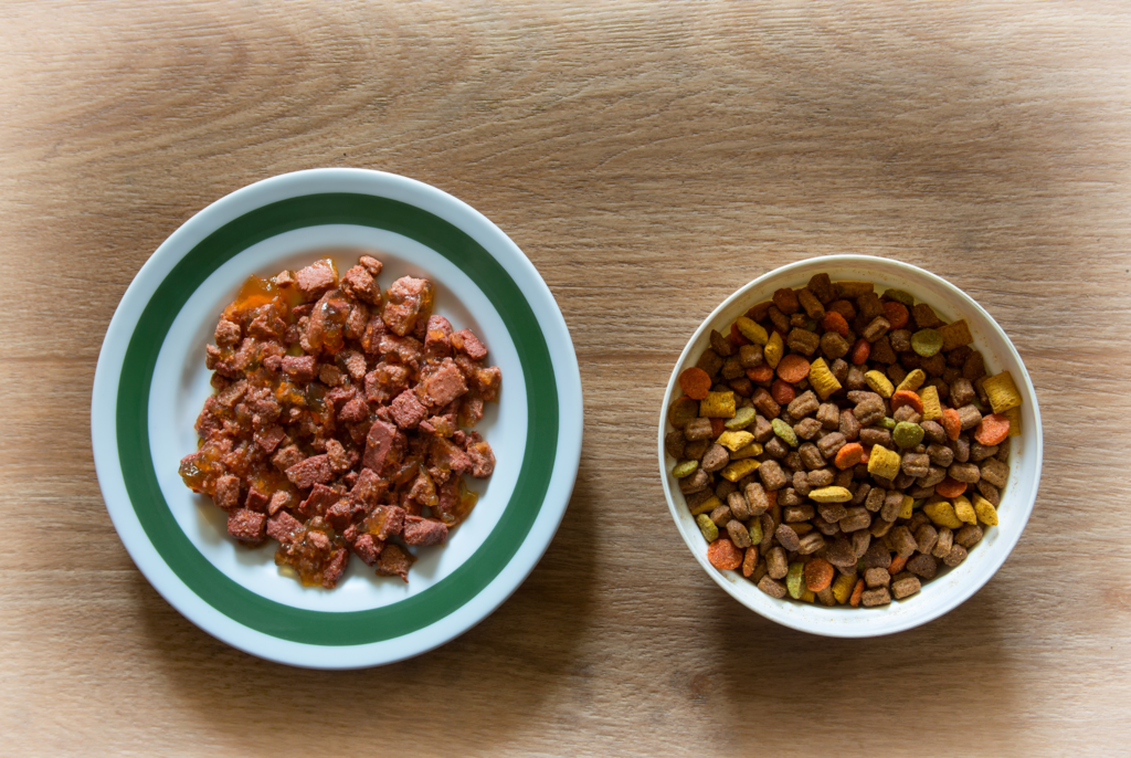 bowl of cat kibble sitting next to bowl of wet cat food on table