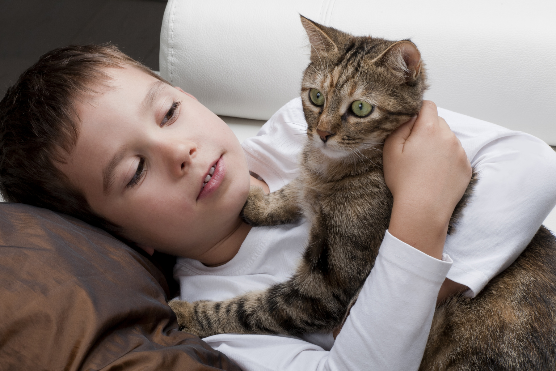 boy in white shirt laying on couch holding a gray tabby cat