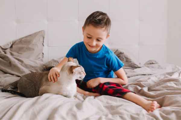 boy sitting on bed playing with orange tabby cat