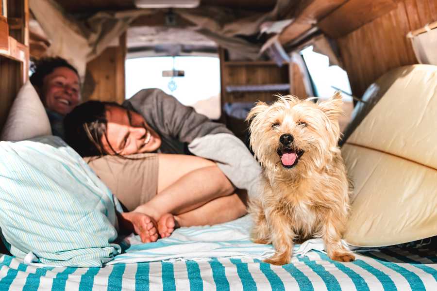 couple in back of camper van with tan small dog