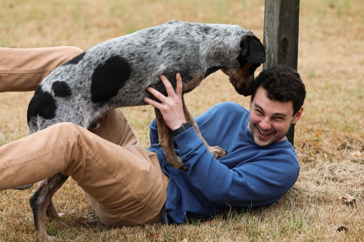 laughing man in blue sweater wrestling with spotted dog in field by cynthia smith on scollar.com