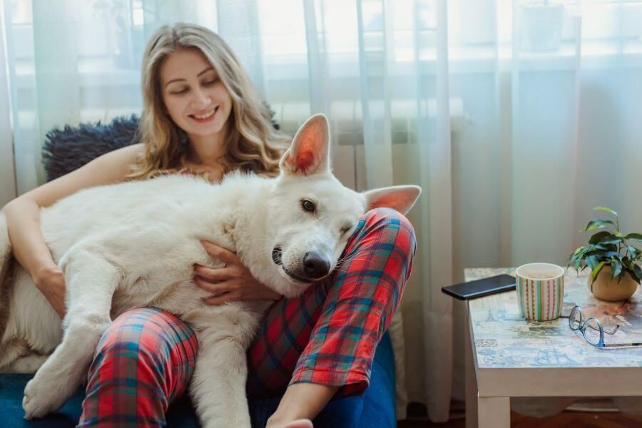 girl in pajamas with big white dog in her lap