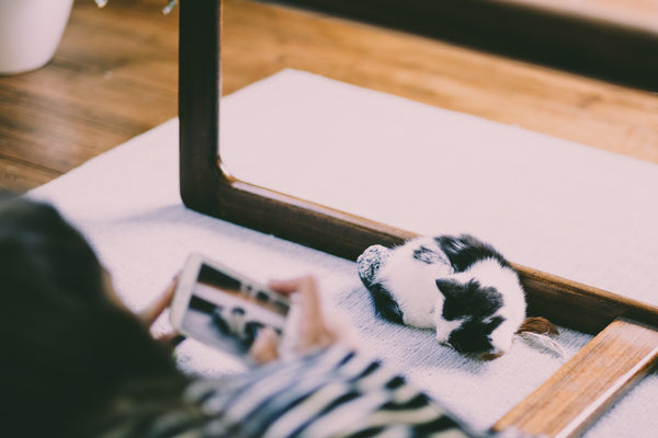 Lady taking photos of cat