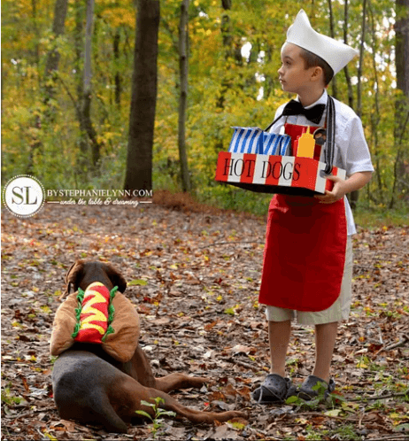 boy and dog dressed up like hot dog vendor and hot dog