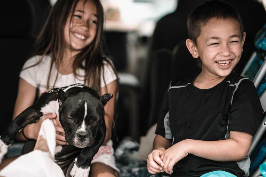 two laughing kids in back seat of car with black dog