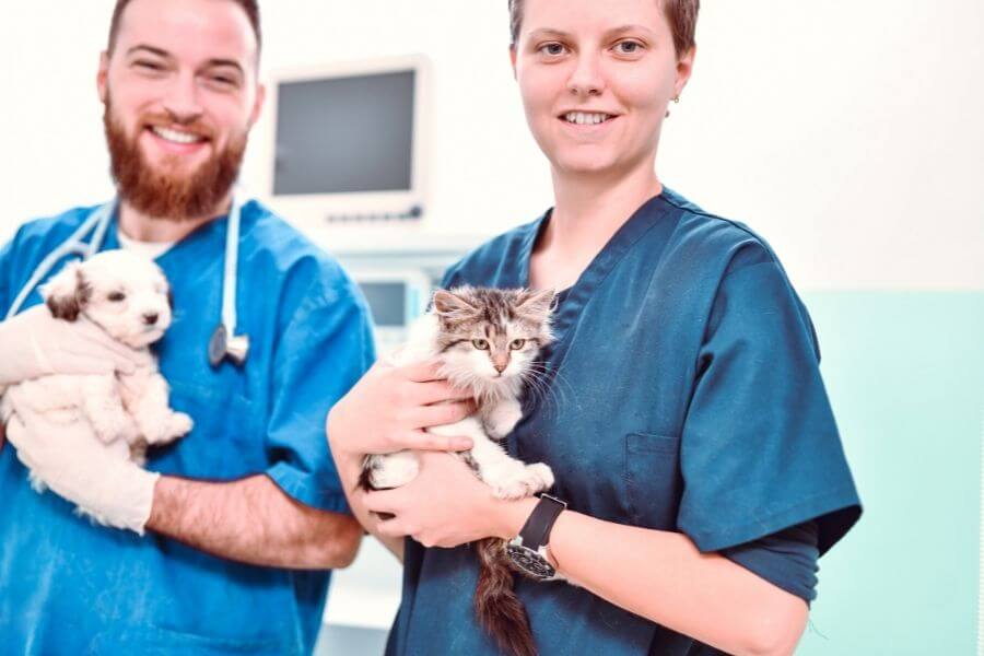 two vets holding a puppy and a kitten