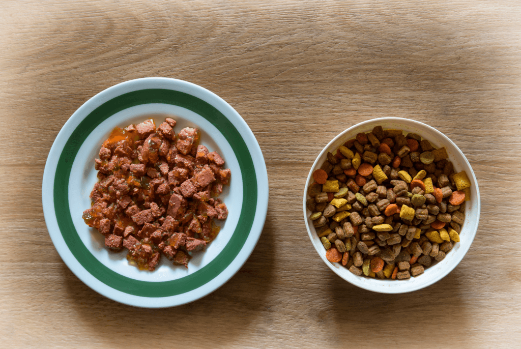 bowls of wet food and dry food for cats