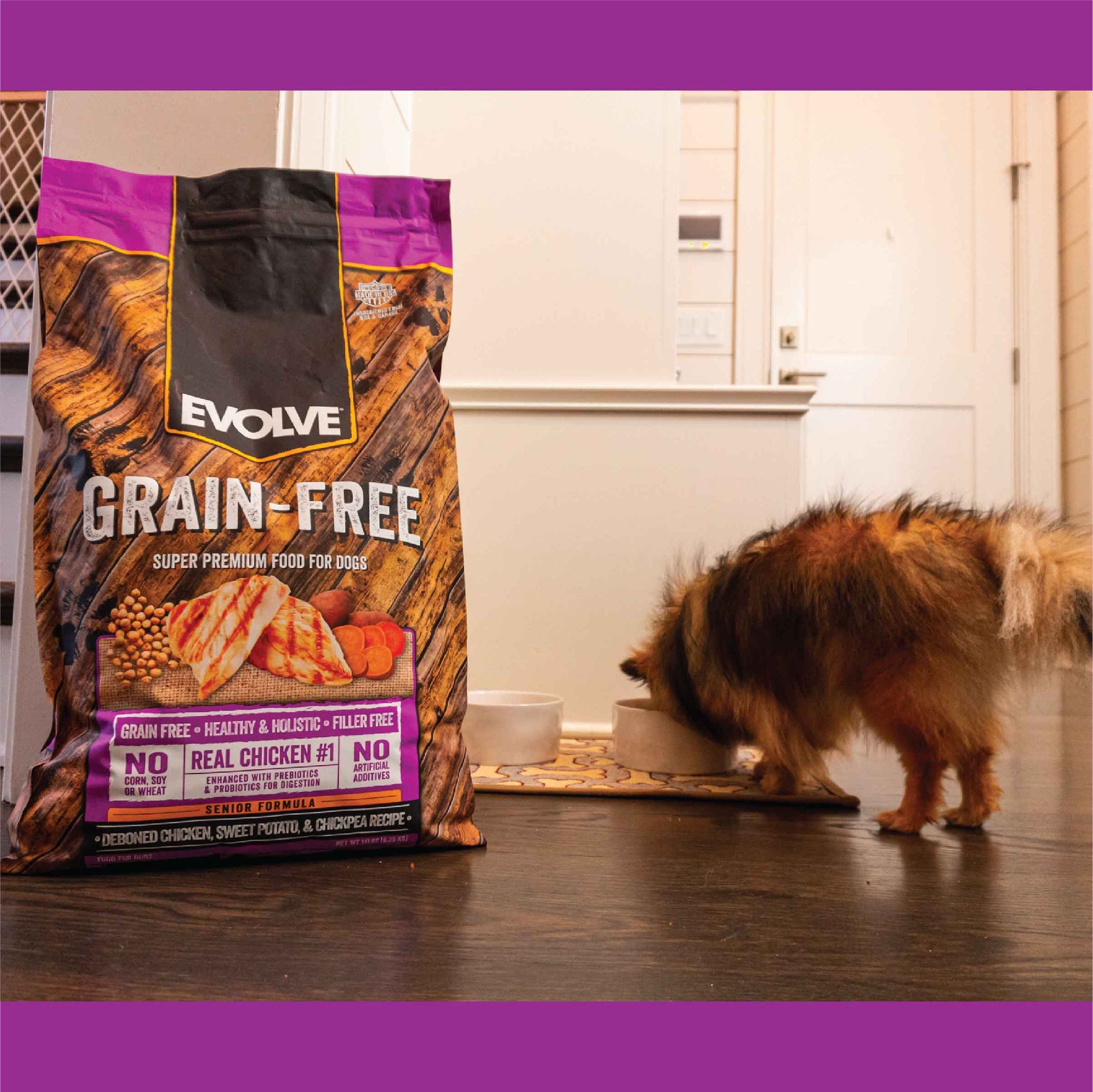 a very good senior grain free dog food