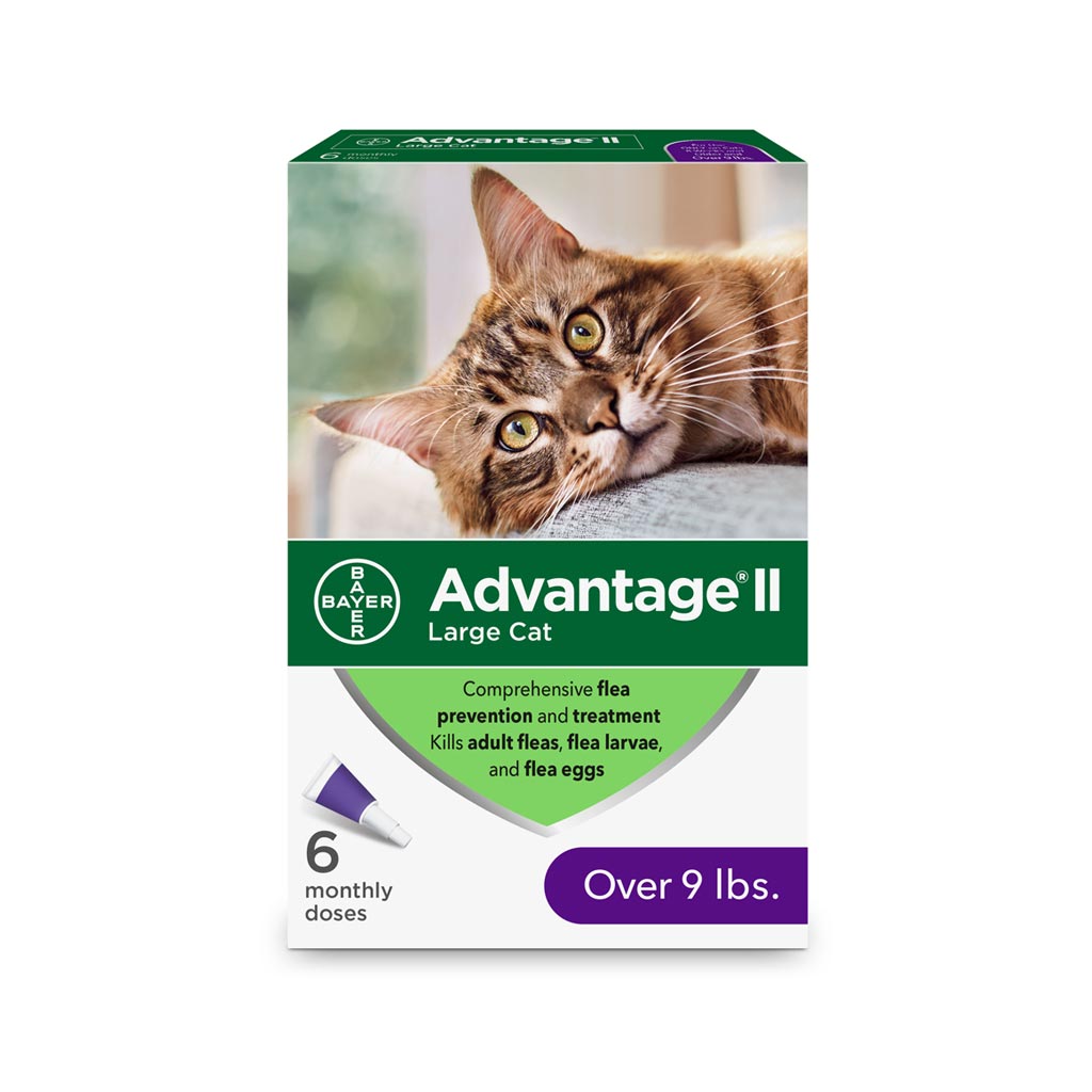 advantage 2 flea treatment for cats