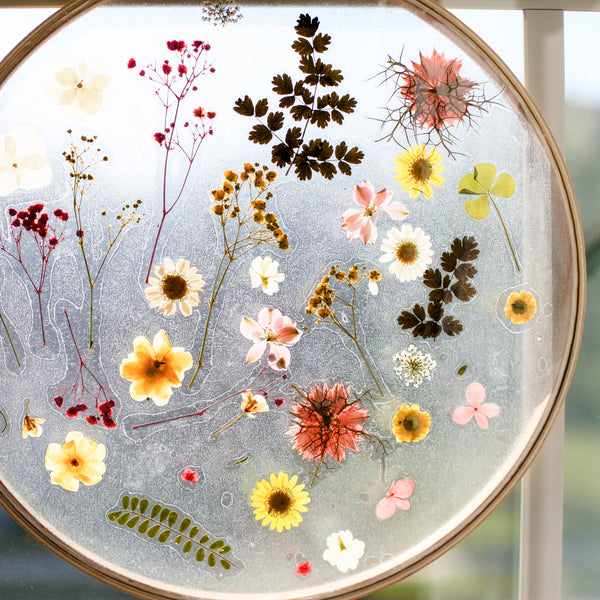 DIY: Pressed Flower Suncatchers – Brighter Day Press