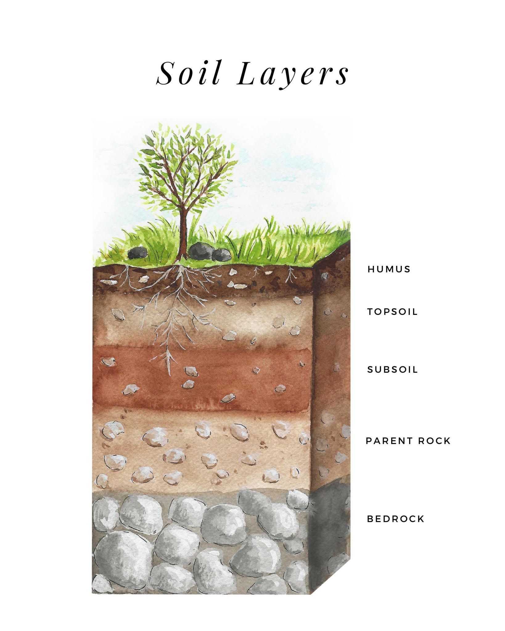 Soil Layers - Printable Poster – Brighter Day Press With Regard To Layers Of Soil Worksheet