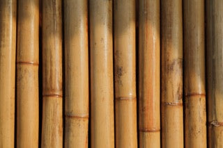 is bamboo more sustainable than plastic?