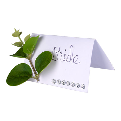 Eucalyptus place card