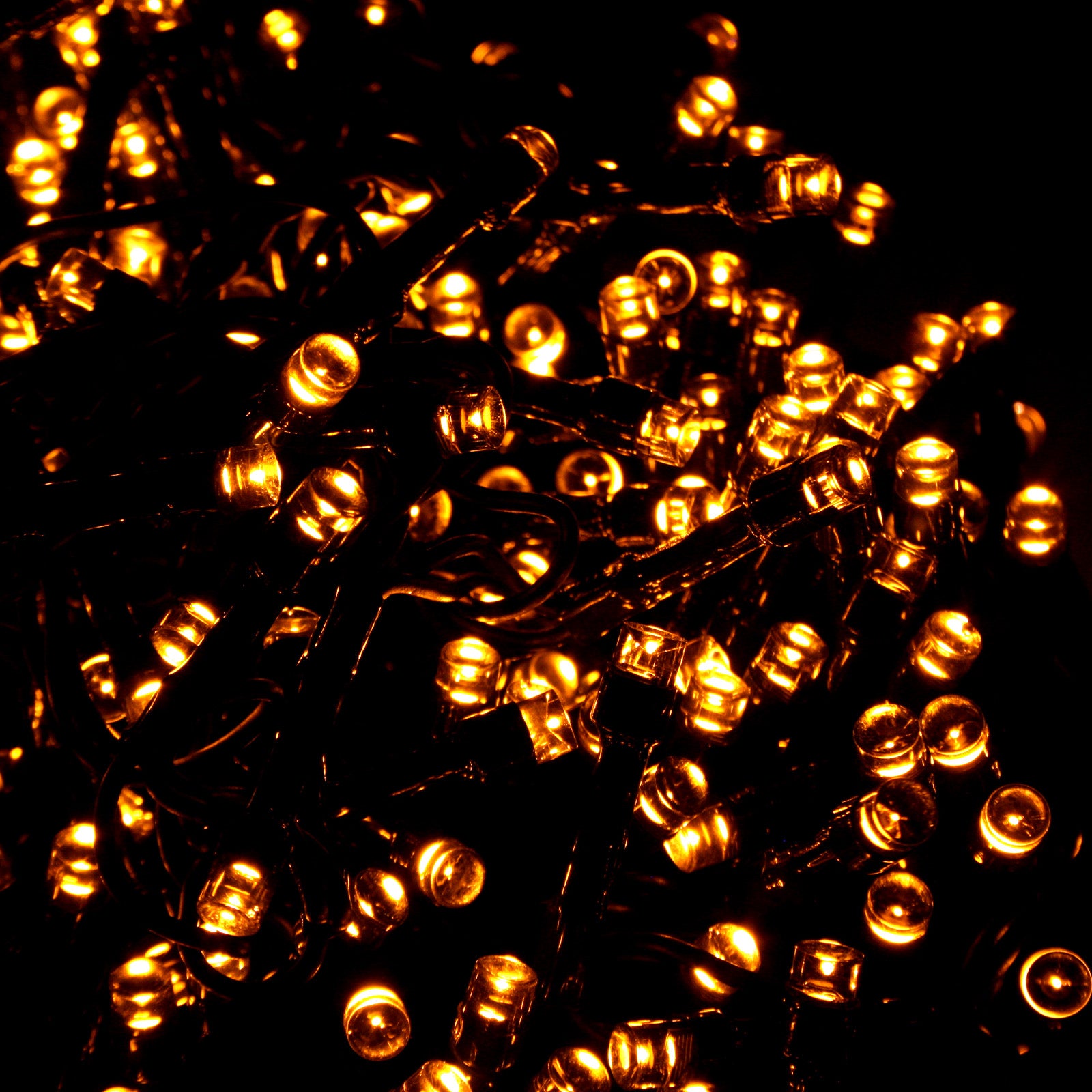 Festive Magic 480 Vintage Gold Firefly LED String Lights – Yorkshire ...