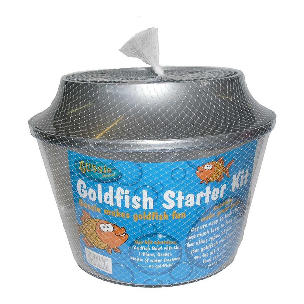 goldfish aquarium starter kit