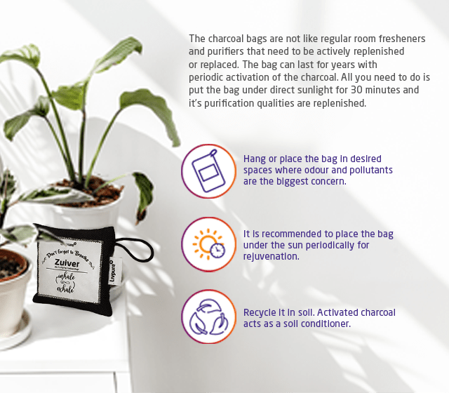 Buy Zuiver Purifying Charcoal Air Deodorizer Best Zuiver